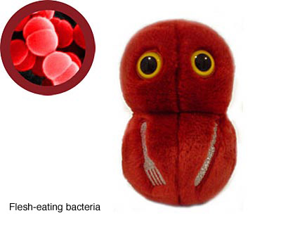 e coli plush toy